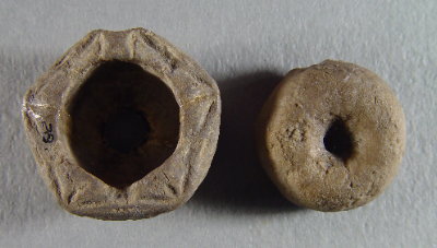 Delocrinus sp. cf. subhemisphericus