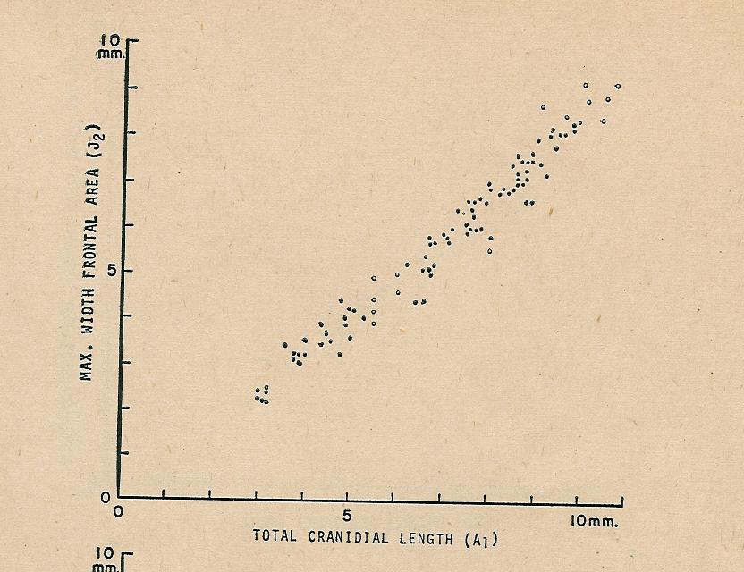 Scatter Diagram