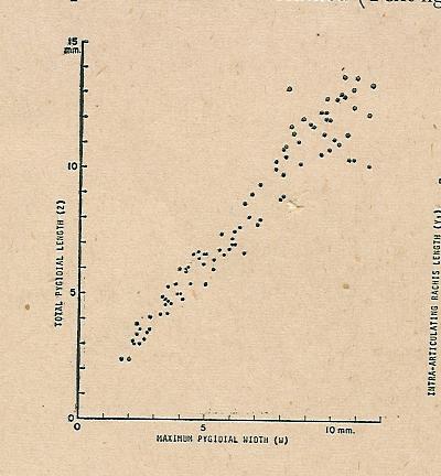 Scatter Diagram