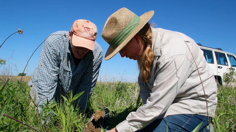 Soil Coring