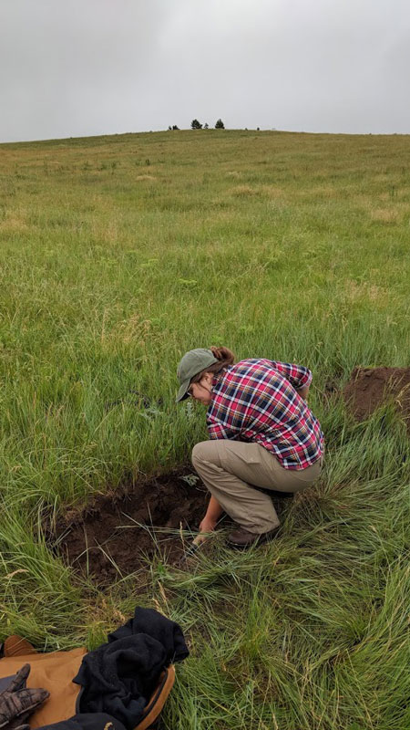 Soil Profiling