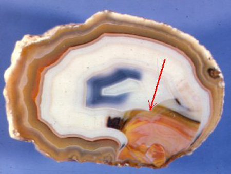 The agate in the first image is from rocks mapped as Middle Cenozoic volcanics by Sanchez-Mejorada (1960) that are exposed near Estacion Moctezuma, Chihuahua, Mexico.