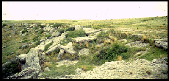 Rock Spread in Hitchcock County, Nebraska. Note the blocks of Ogallala.