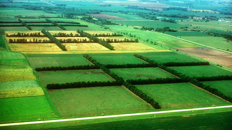 Agroforestry Research Farm
