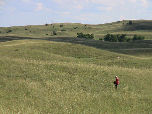 The Sand Hills are a beautiful backdrop to a summer of field research.
