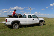 Senior Fisheries and Wildlife major Jessica Edgar uses radio telemetry to track prairie chicken hens and their broods. Many of the sites she monitors are on private ranch land. She travels the hilly landscape using a truck, then an ATV, and often walks miles on foot.