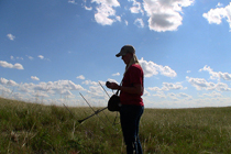 Jess uses GPS to keep track of the location of each hen and her brood.