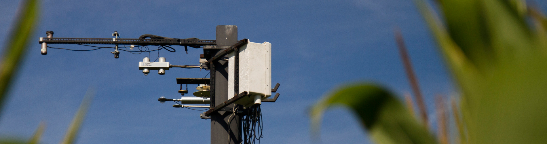 Radiaiton mast