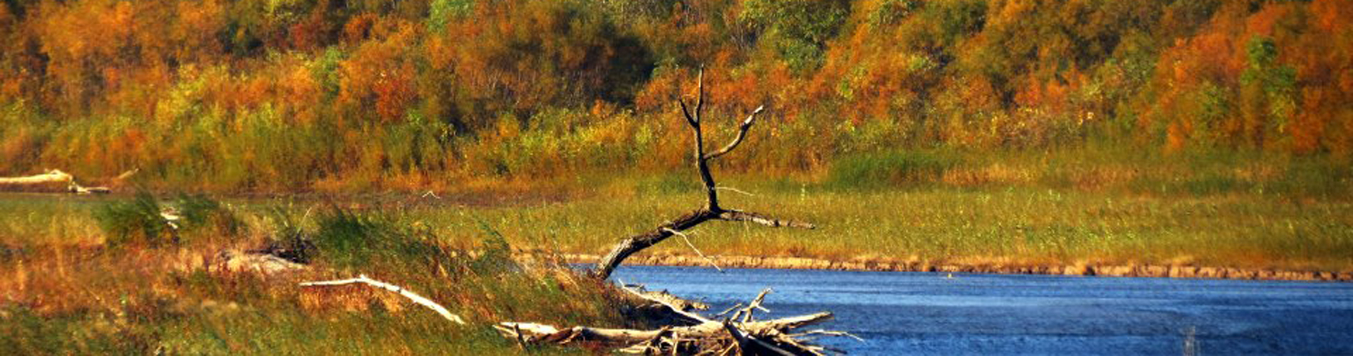 Elkhorn River near Stanton by Todd Andrews