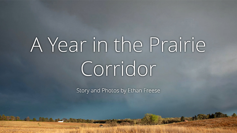 A Year in Prairie Corridor