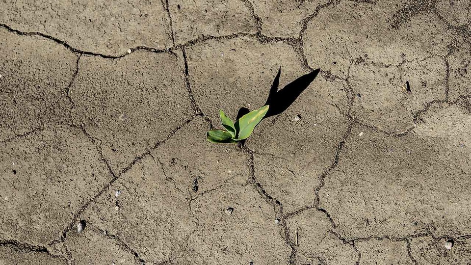 Agricultural crops can wither in a flash when the days turn hot, the air dries, the rain stops and moisture evaporates quickly from the soil. A new early warning system developed by two nationally recognized centers at the University of Nebraska-Lincoln, along with the U.S. Geological Survey, can help alert stakeholders as drought begins.