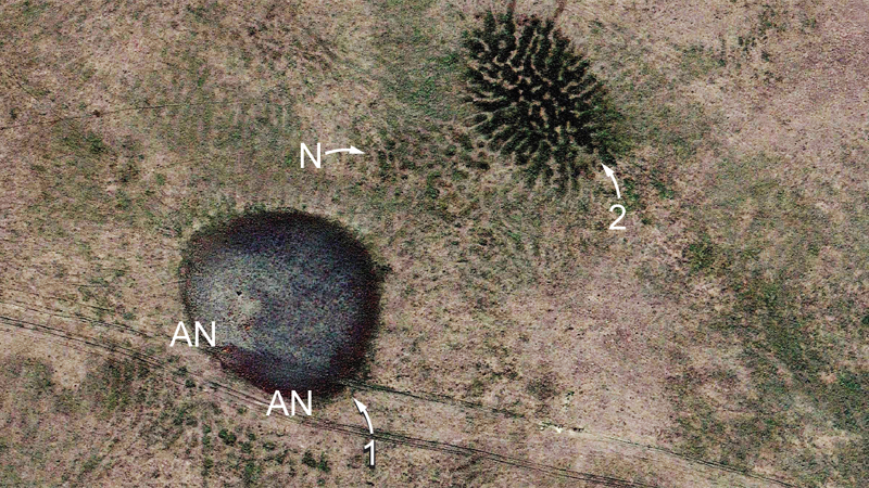 Using Google Earth imagery, Matt Joeckel and Les Howard of the Conservation and Survey Division at the School of Natural Resources discovered an unusual natural patterning of the land surface, called gilgai, for the first time in Nebraska.