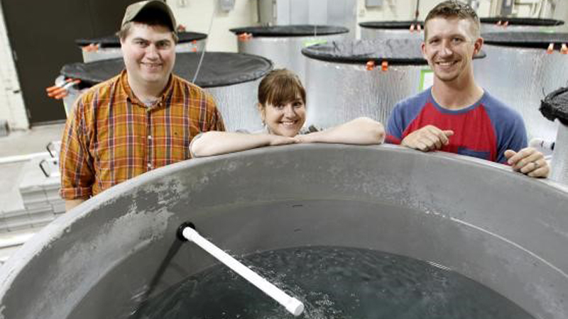 Assistant professor Jamilynn Poletto and two of her graduate students built the The Fish Conservation Behavior and Physiology Lab from the ground up in an old red brick building on East Campus. "There was literally nothing in here," Poletto said.