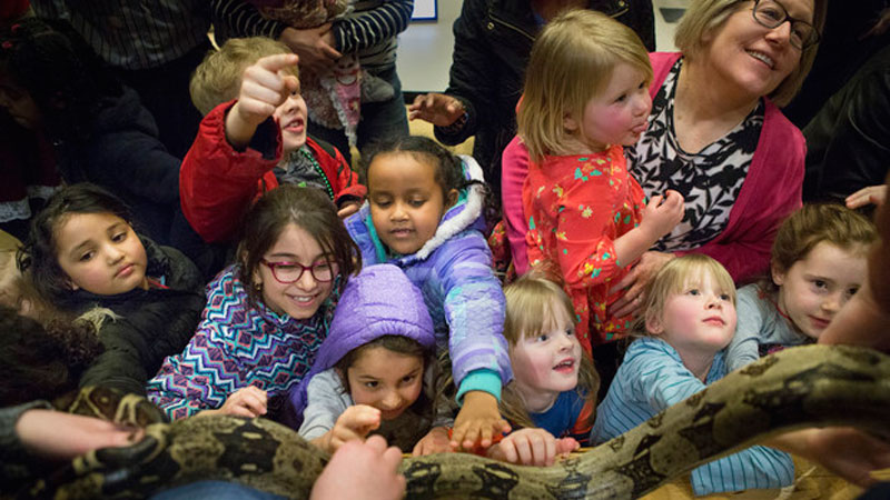 SNR at CASNR Week: Wildlife Encounters Offers Hands-on Learning about Creatures Great and Small