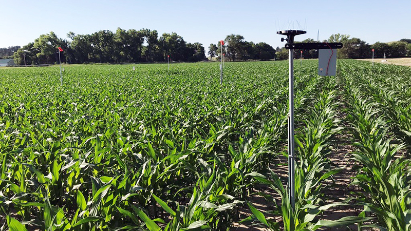 Researchers to tackle irrigation decision-making with help of USDA grant