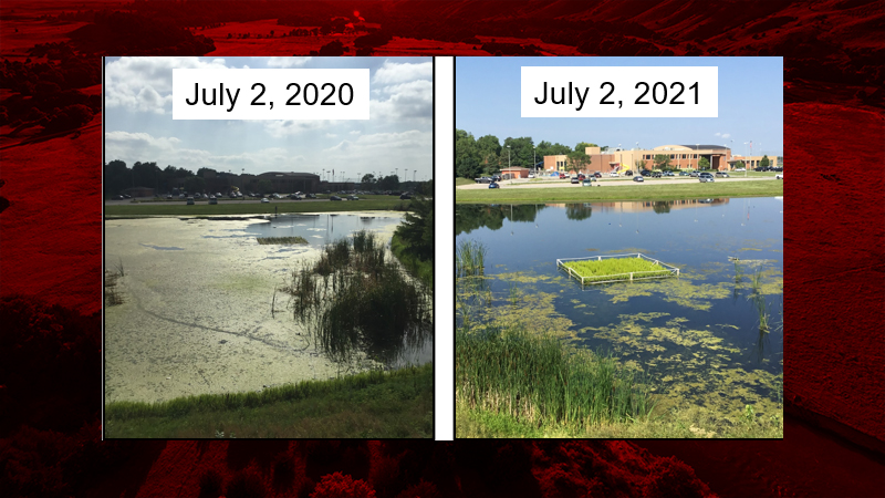 The University of Nebraska (UNL) is conducting a research project at the Cooper YMCA with the goal of developing a treatment technology that reduces algae and weed growth in urban ponds.