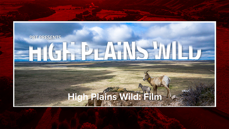 Platte Basin Timelapse Releases 'High Plains Wild'
