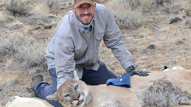 Mountain lion researcher named SNR's 2025 meritorious master's student