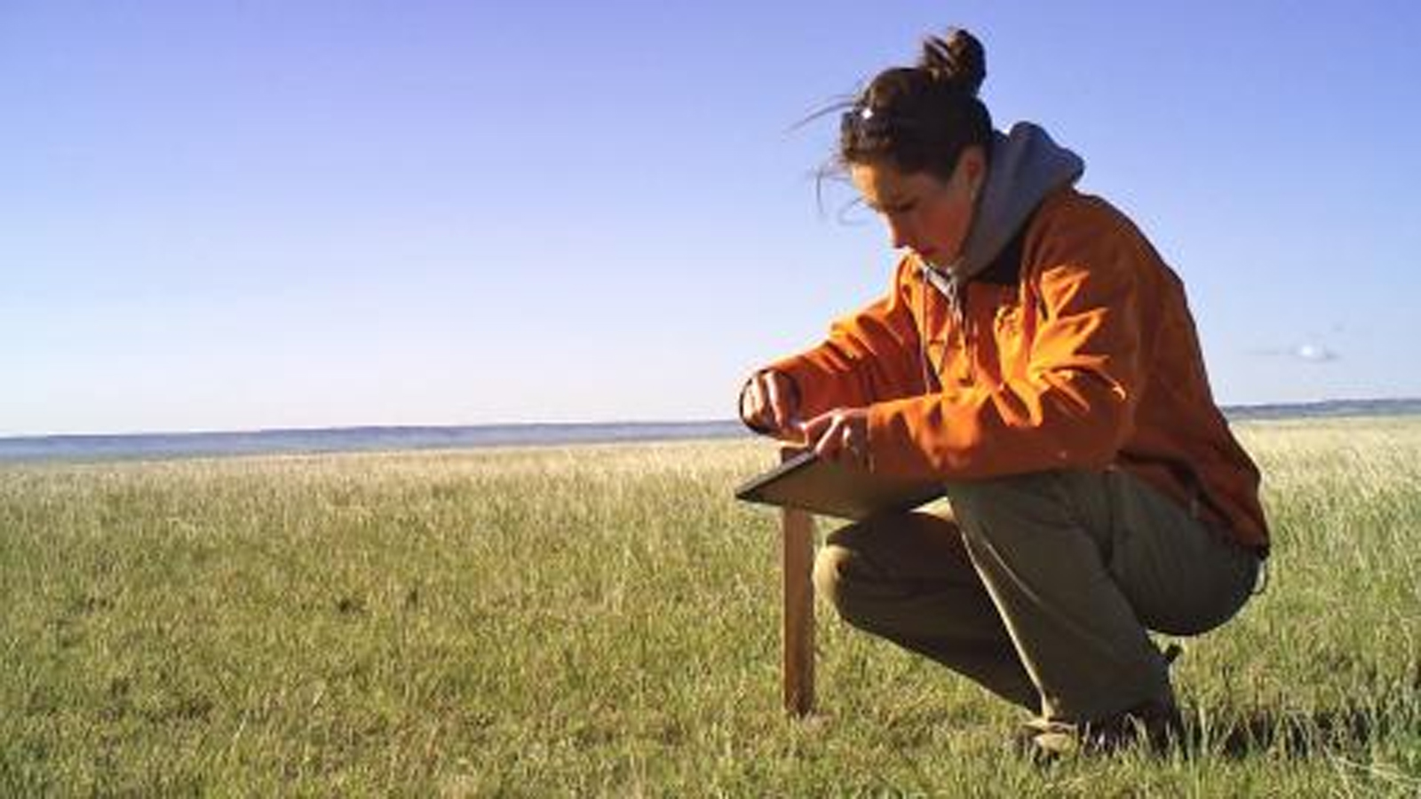 Prairie Measurement