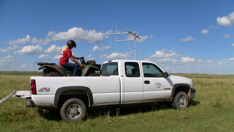 Load4wheeler