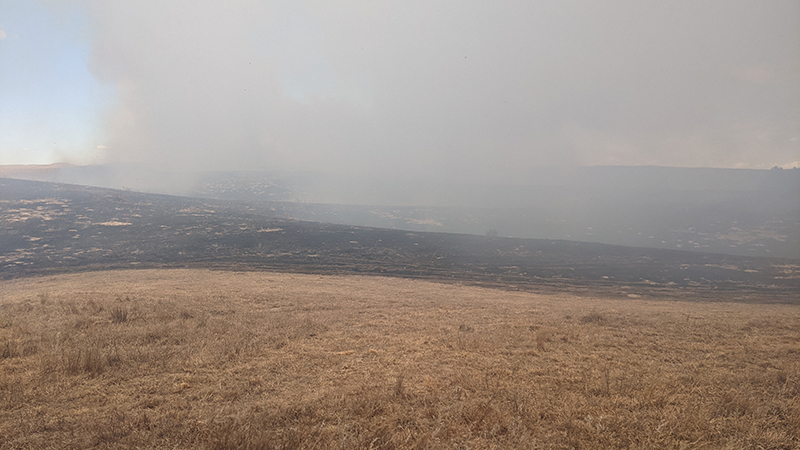 Prescribed burns of four 150-acre pastures at the Barta Brothers Ranch near Rose, Nebraska, on March 18, 2022