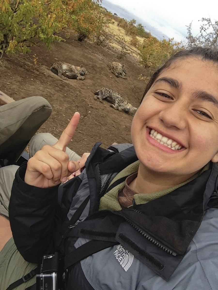 Castillo and sleeping hyenas