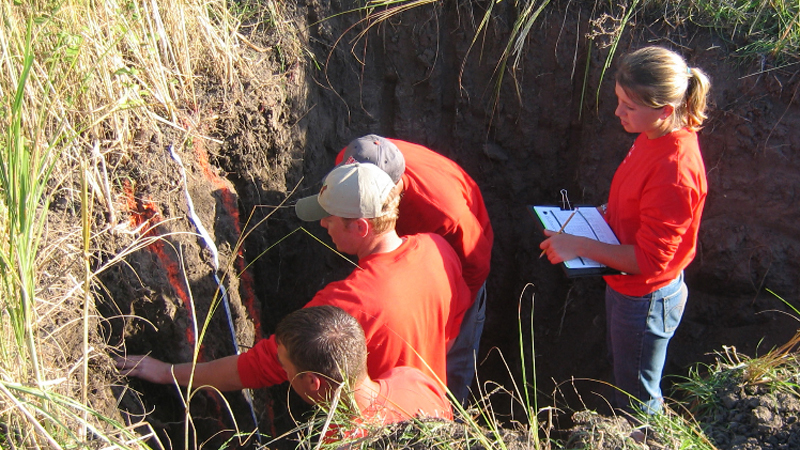 Soil Judging