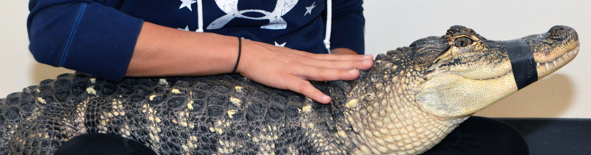 Fisheries & Wildlife Major Major Undergraduate Programs School of Natural Resources