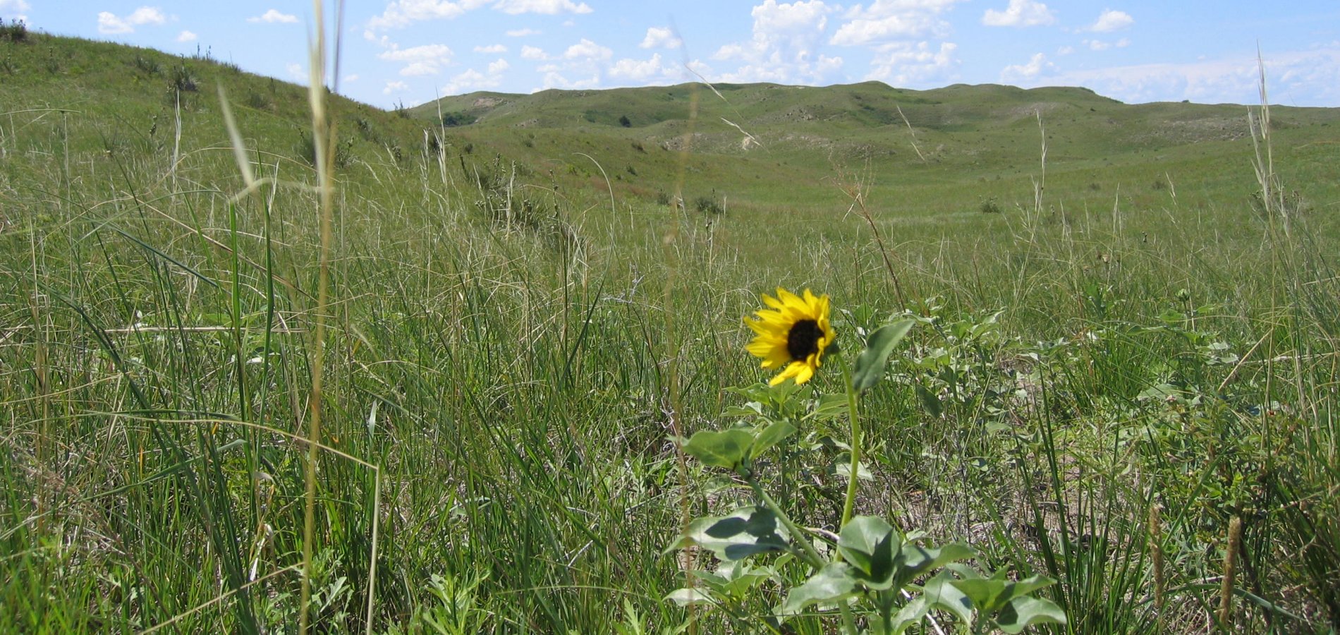 Applied Climate Science