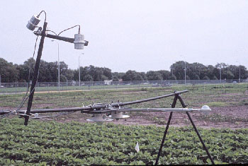 Soybean Raditation Instruments