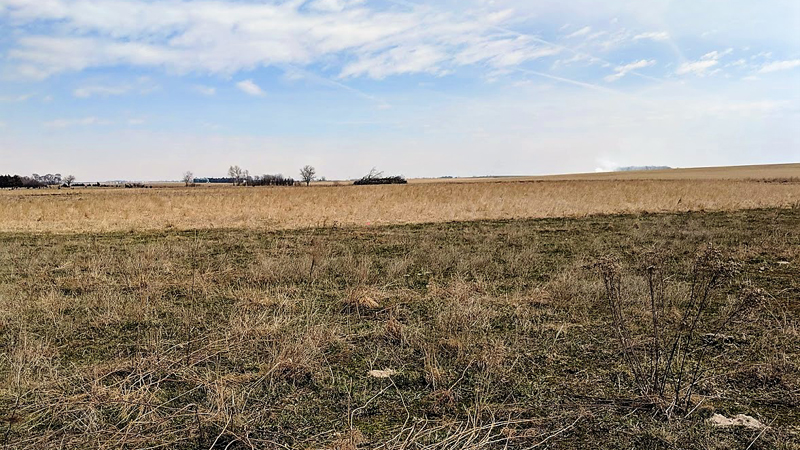 depressional soils in the Todd Valley, eastern Nebraska