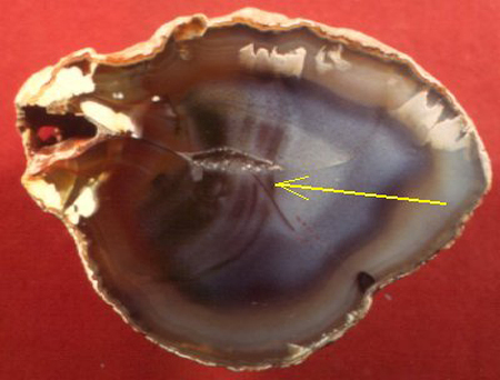 The agate in the second image is from rocks of the same age that are exposed near Rancho Coyamito, Chihuahua, Mexico.