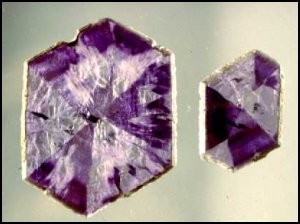 Port Arthur Amethyst, India