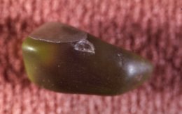 Peridot crystal viewed in reflected light. Compare to example in darkfield.