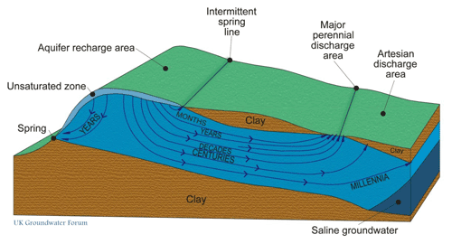 Groundwater flow paths