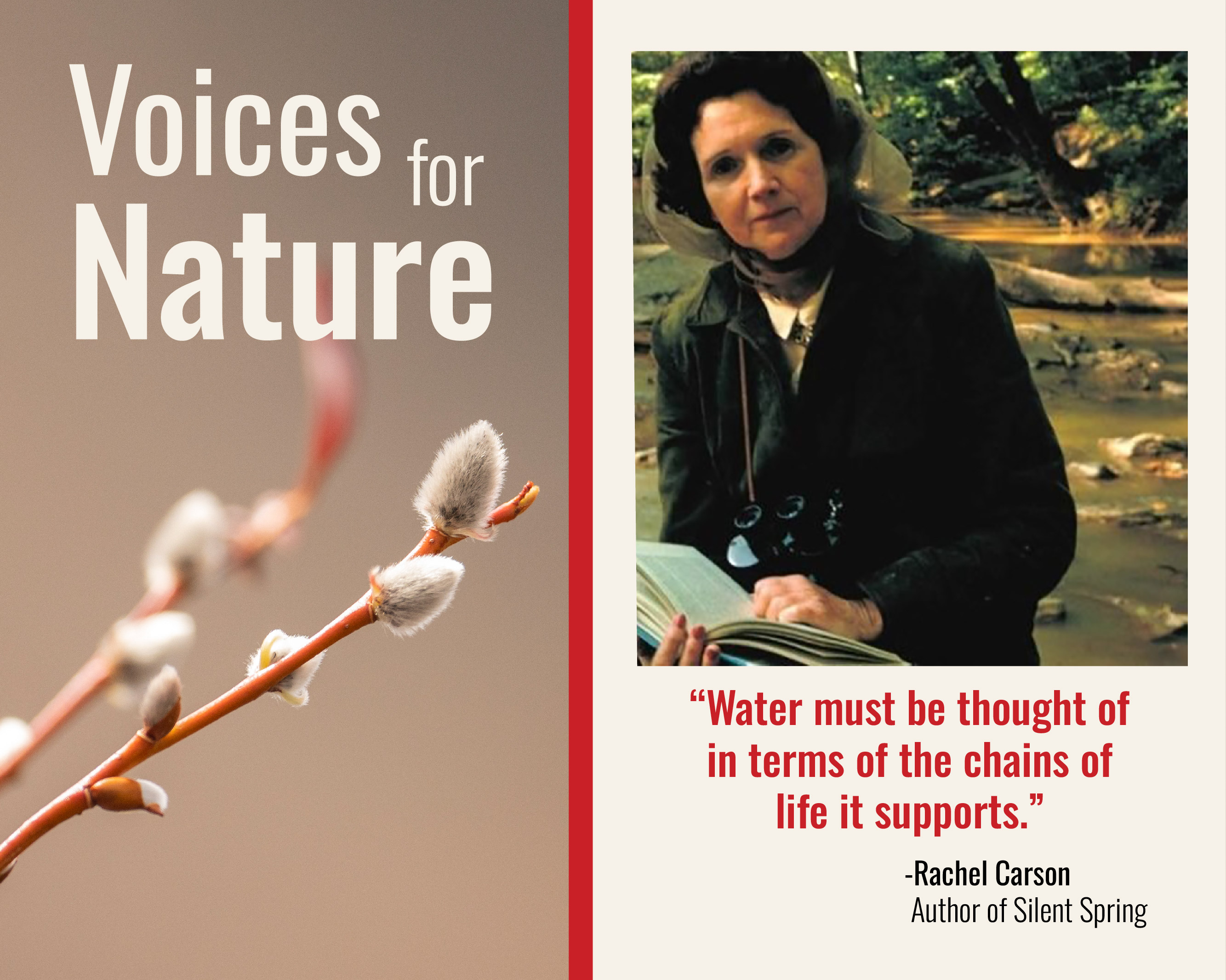 Rachel Carson Quote