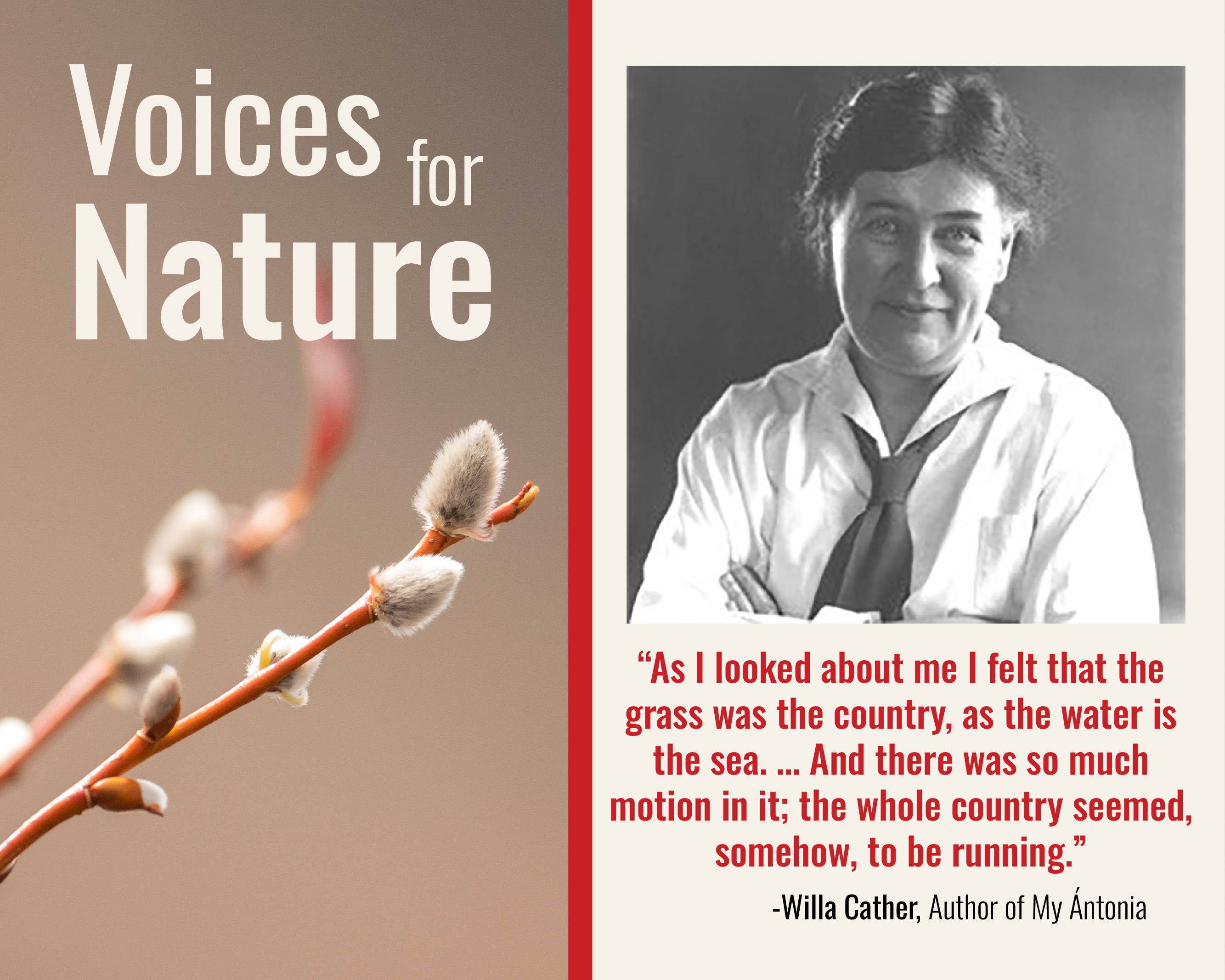 Willa Cather Quote