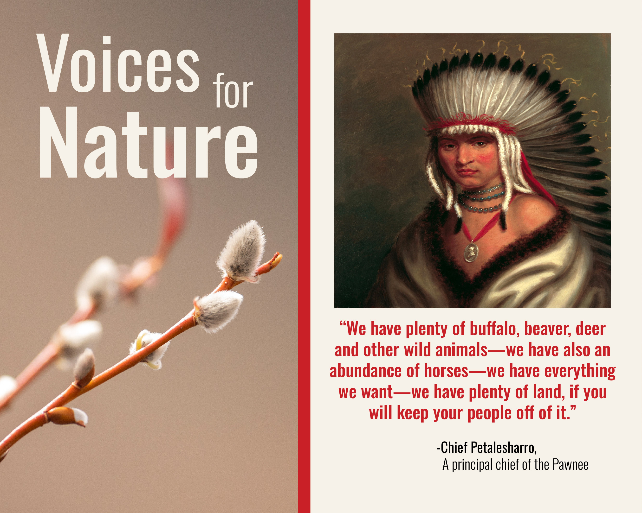 Chief Petalesharro Quote