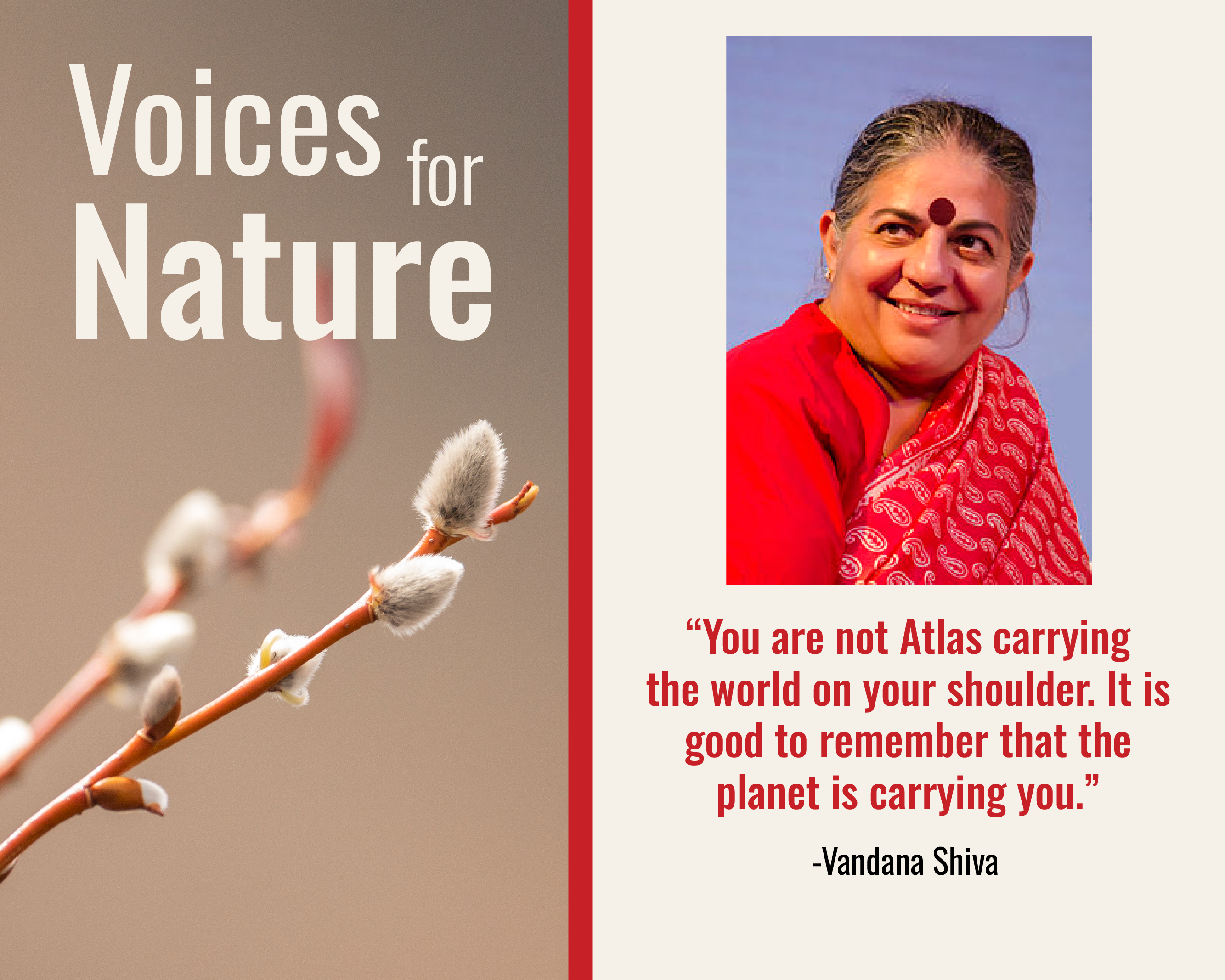 Vandana Shiva Quote