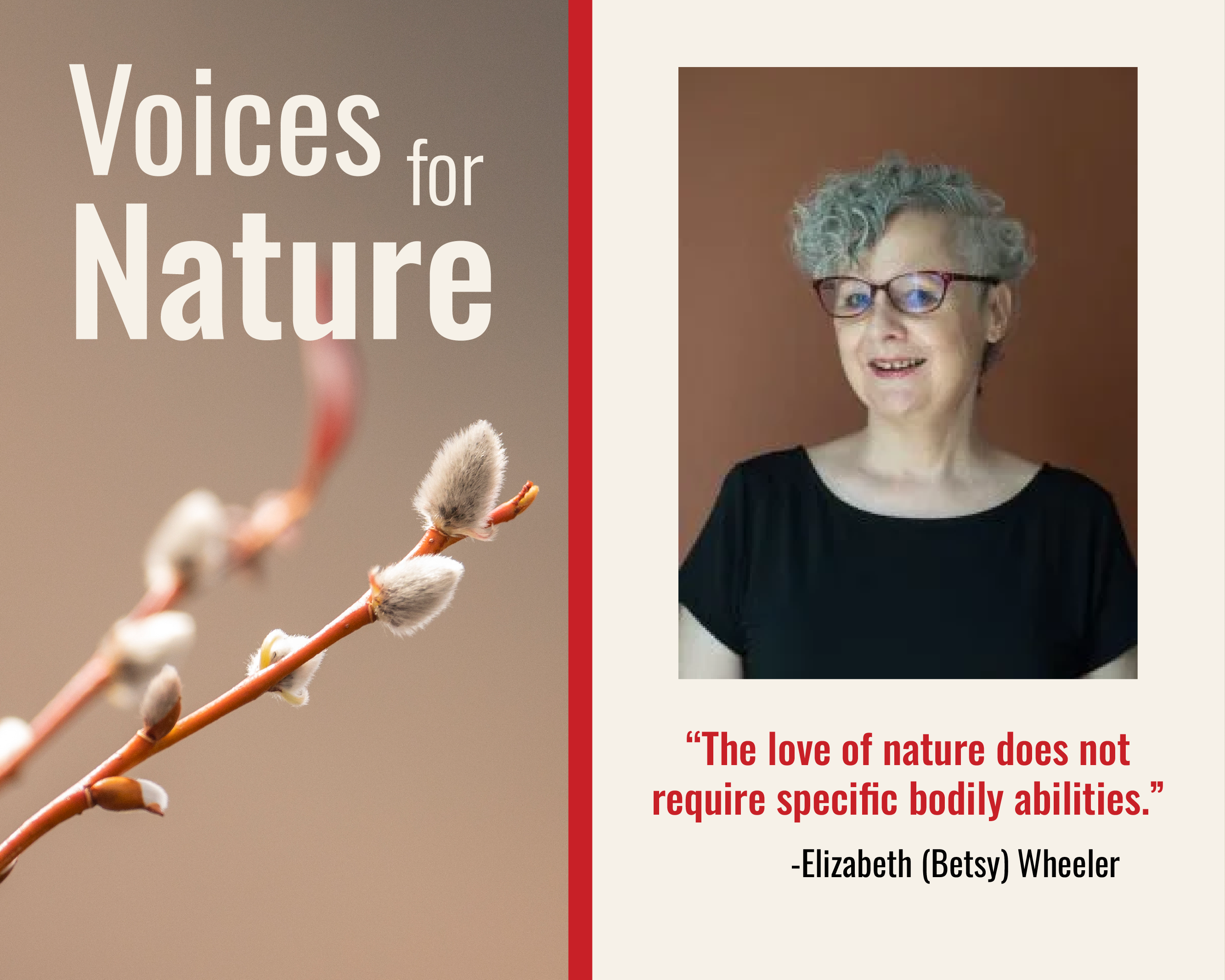 Elizabeth Wheeler Quote