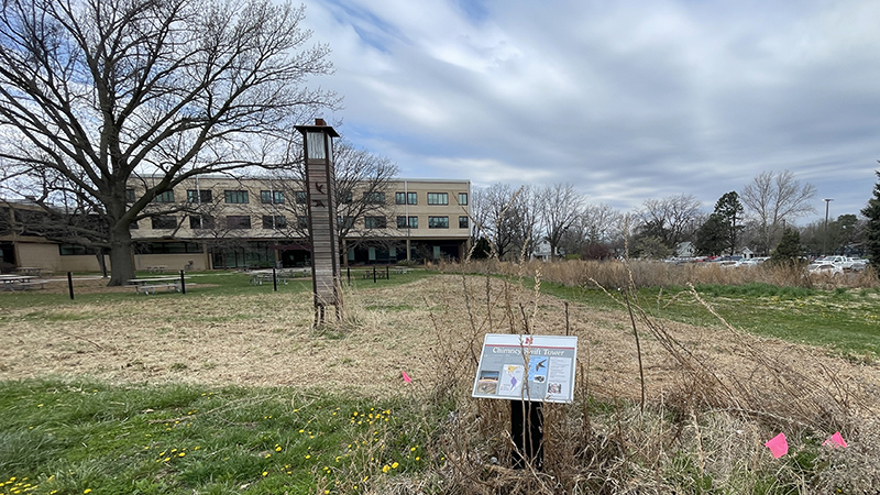 Prairie after mowing 4/9/2026