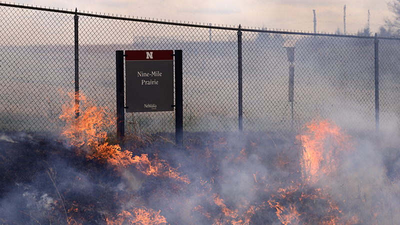Nine Mile Prairie Sign in Burn