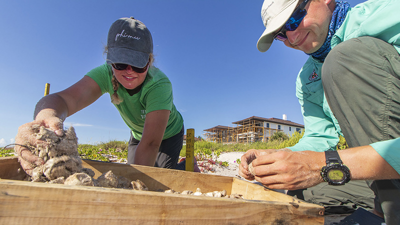 Sydney inventorying nests