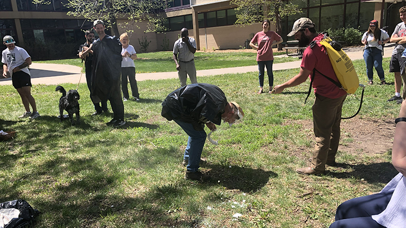 Rhecee May sprays down John Carroll