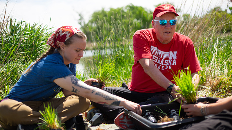 Creating floating wetland