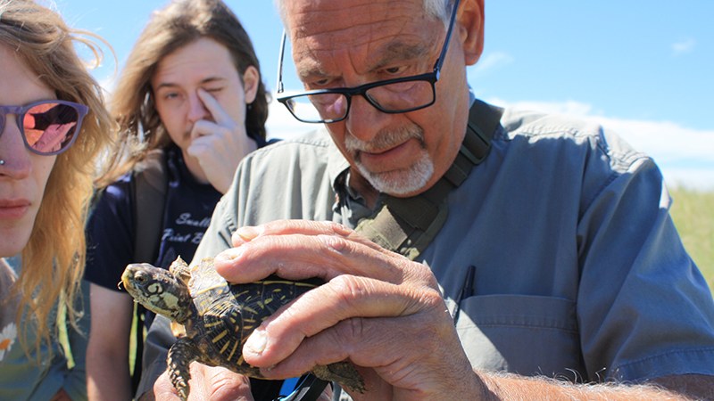 Dennis Ferro with box turtle