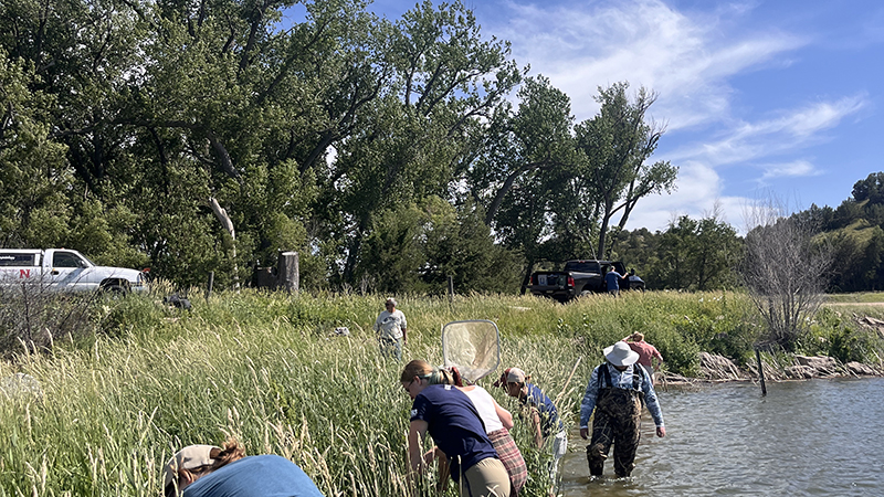 On the North Platte River catching leoprd frogs