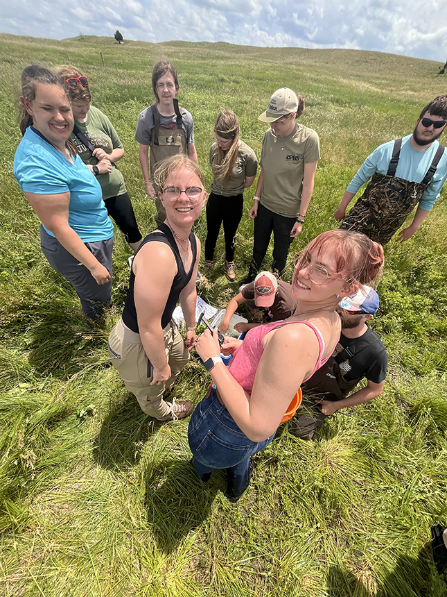 measuring salamander larvae