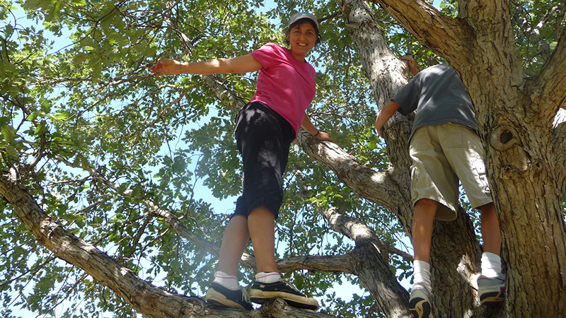Lisa Pennisi in Tree