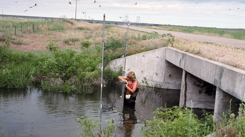 Mary in stream by road